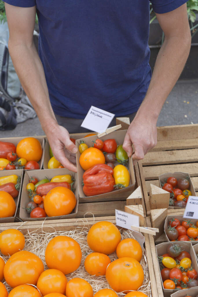 Saisonale Angebote: Tomaten 2 Saisonale, reife Bio‑Tomaten aus eigenem Anbau in Homberg, frisch für Thun und Steffisburg geliefert